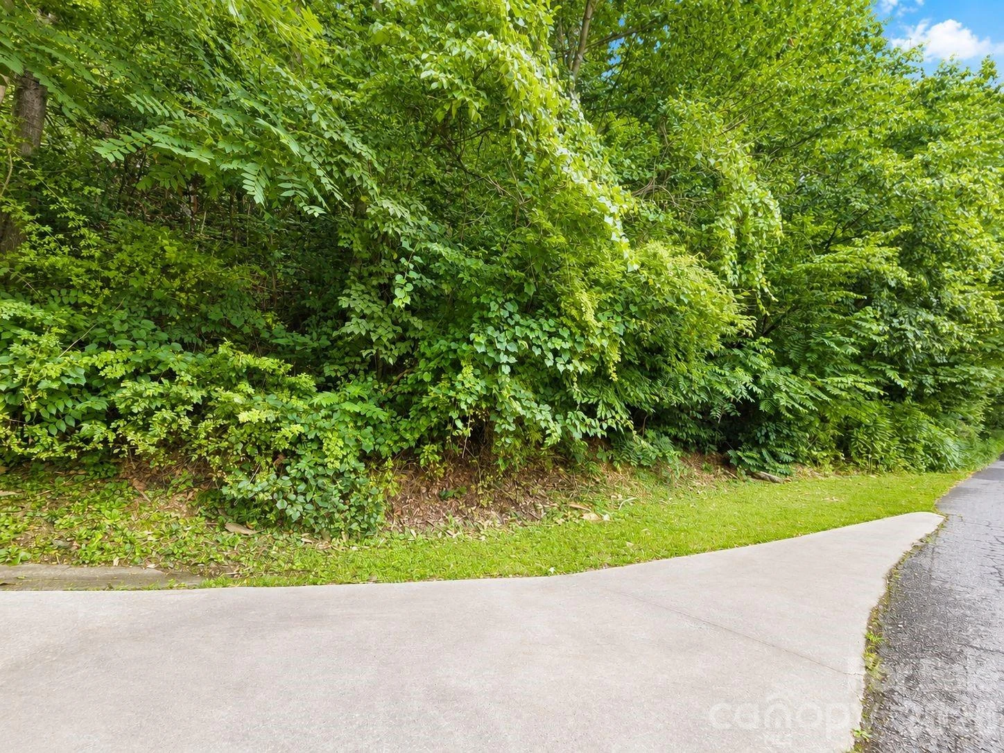 350 Mountain View Drive - Photo 2