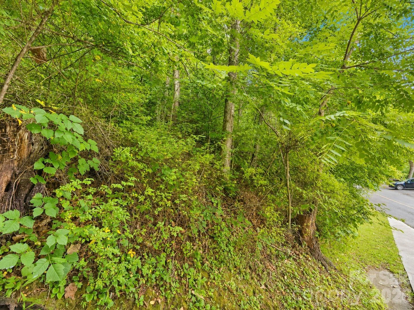 350 Mountain View Drive - Photo 6