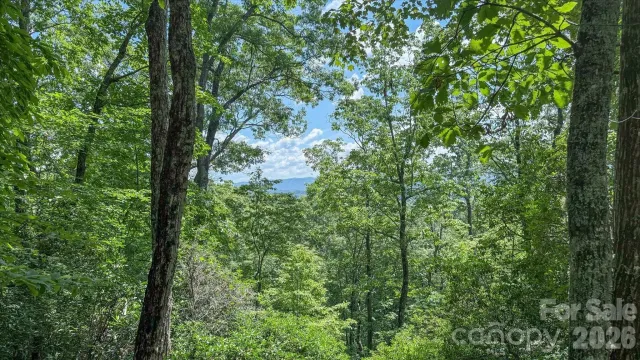 TBD Stone Drive, Brevard, NC, 28712