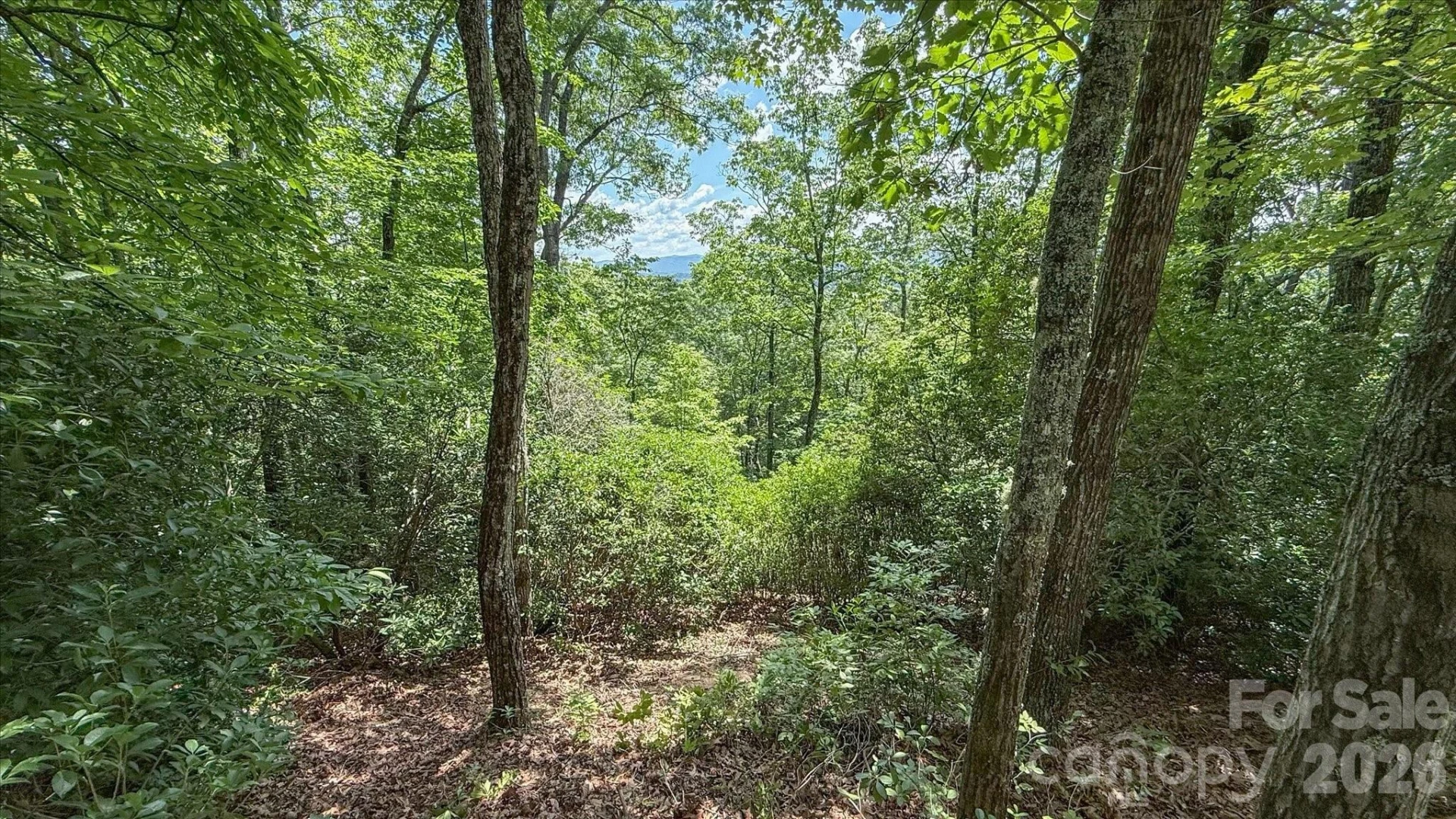 TBD Stone Drive #L40 - Photo 12