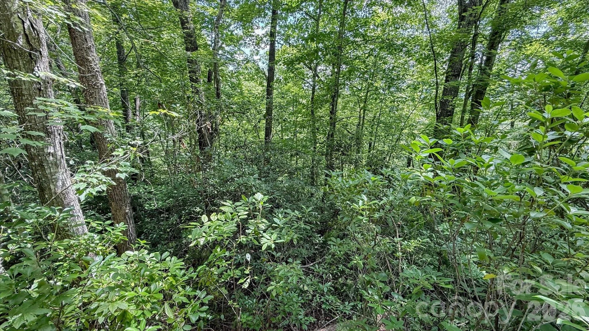 TBD Stone Drive #L40 - Photo 10