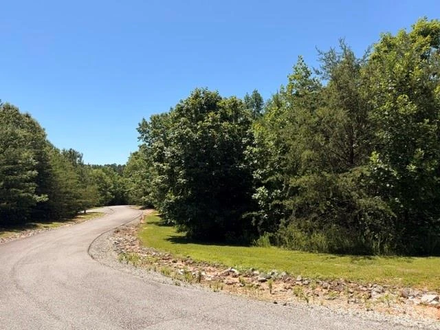 00 Panorama Drive #13 - Photo 2