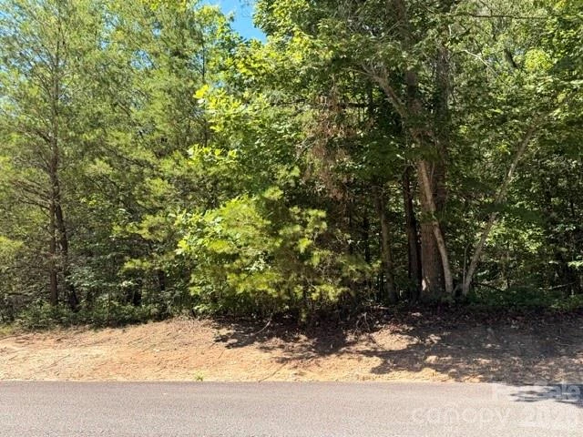 00 Panorama Drive #13 - Photo 4
