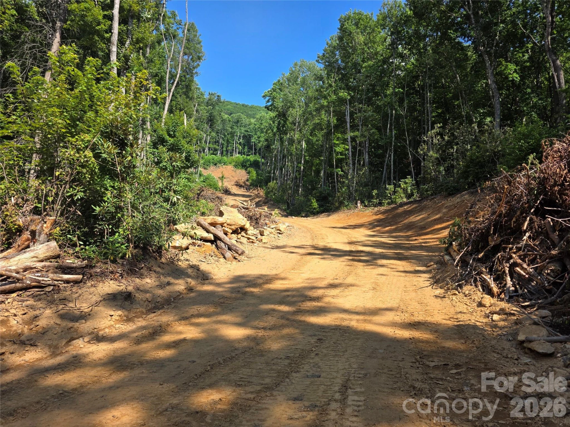 99999 Bee Tree Road - Photo 3
