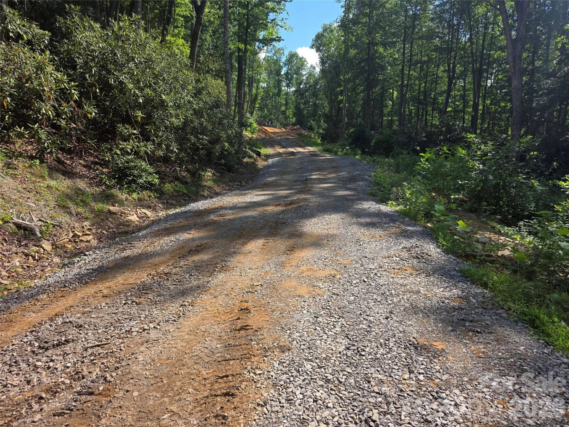 99999 Bee Tree Road - Photo 4