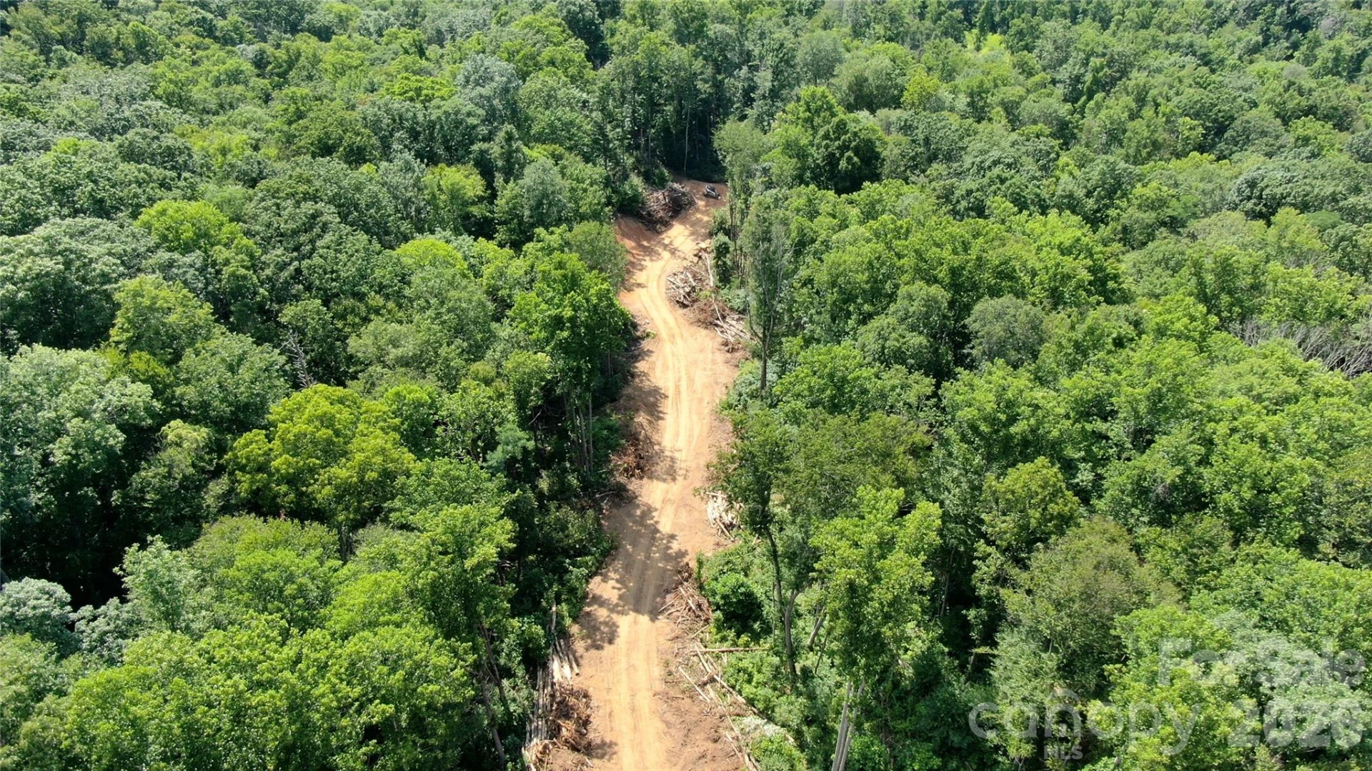 99999 Bee Tree Road - Photo 5