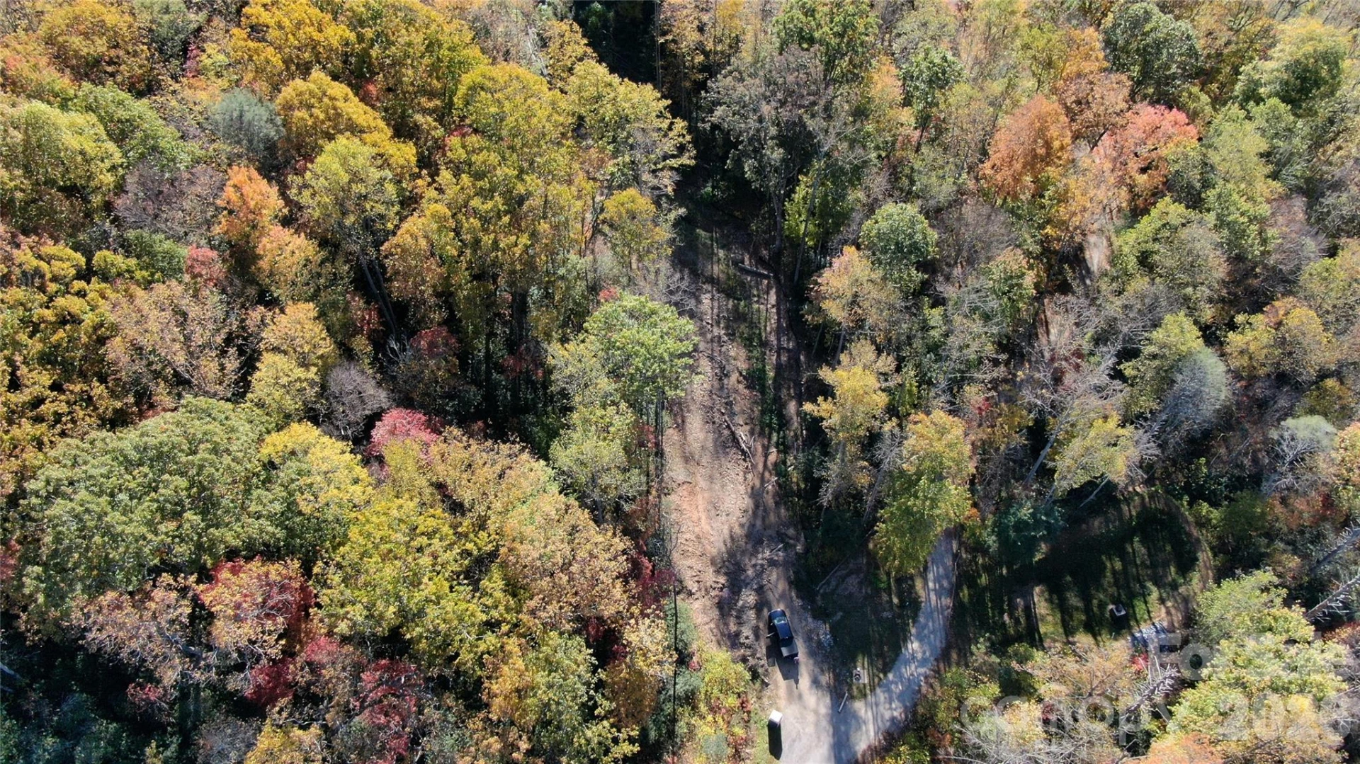 99999 Bee Tree Road - Photo 7