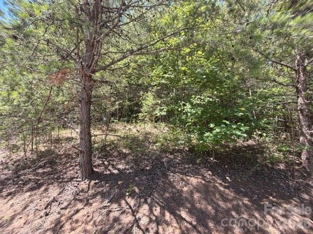 00 Sundance Drive #5-IV - Photo 5