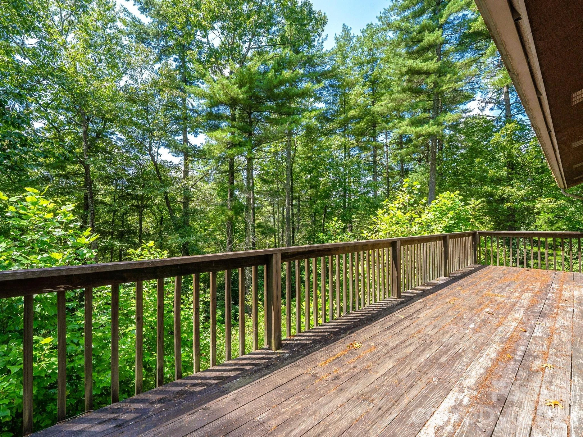 269 Pinewood Knoll Drive - Photo 18