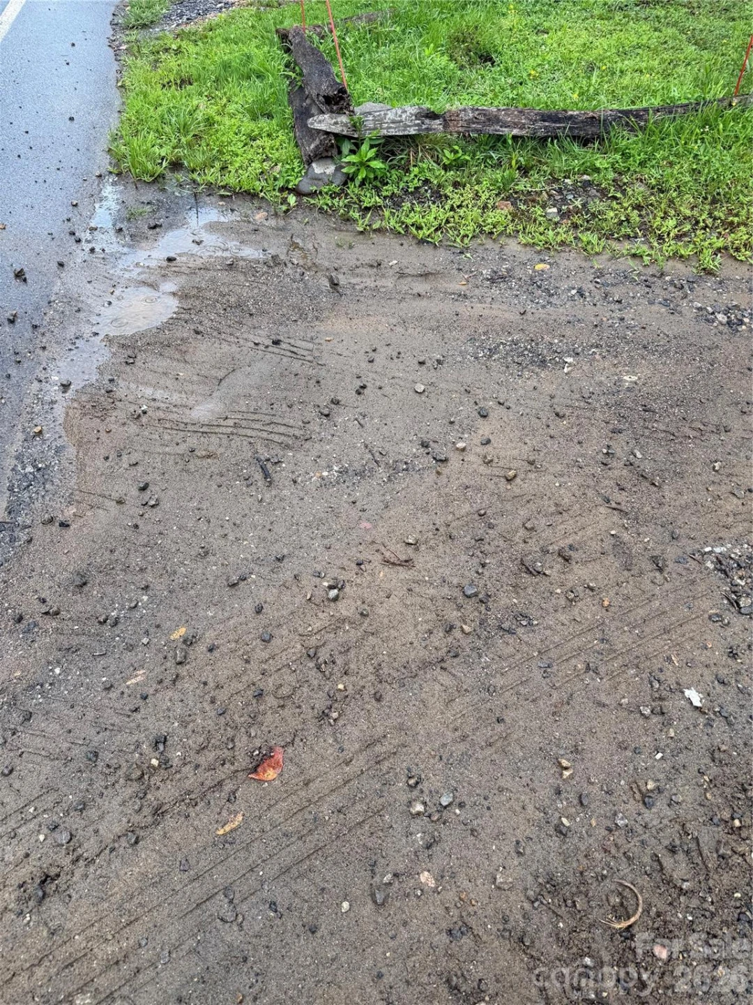 99999 Paint Fork Road - Photo 2