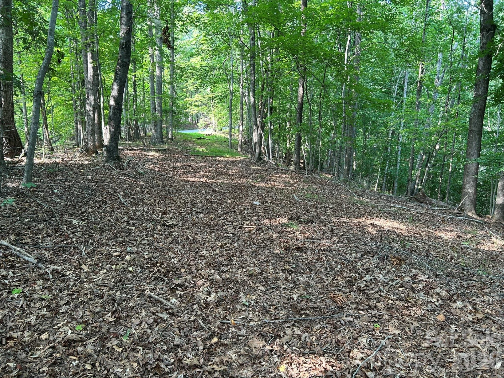 00 Wilderness Ridge - Photo 2
