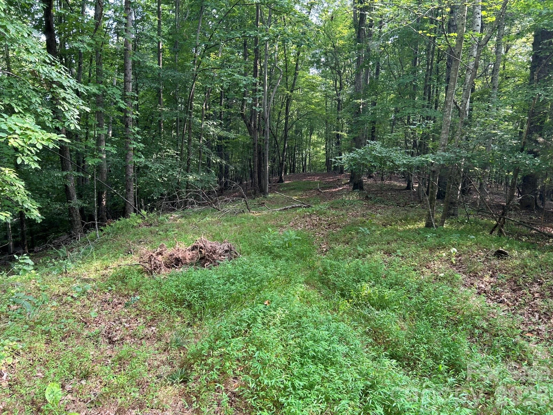 00 Wilderness Ridge - Photo 8