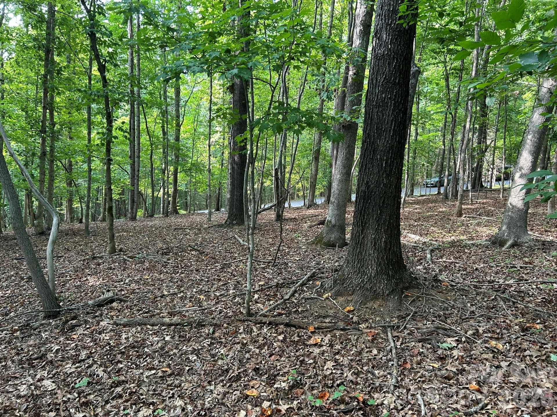 00 Wilderness Ridge - Photo 9