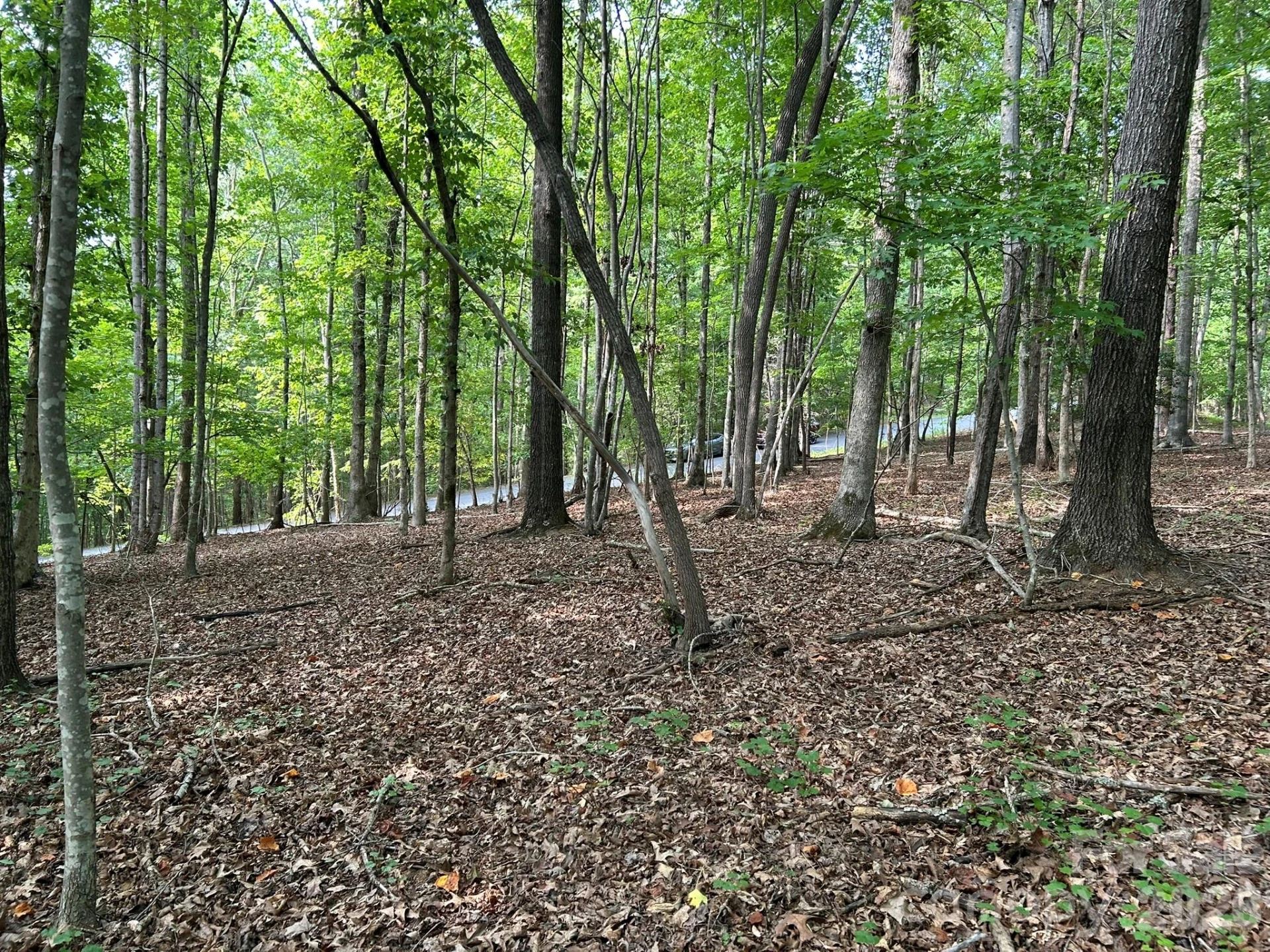 00 Wilderness Ridge - Photo 10