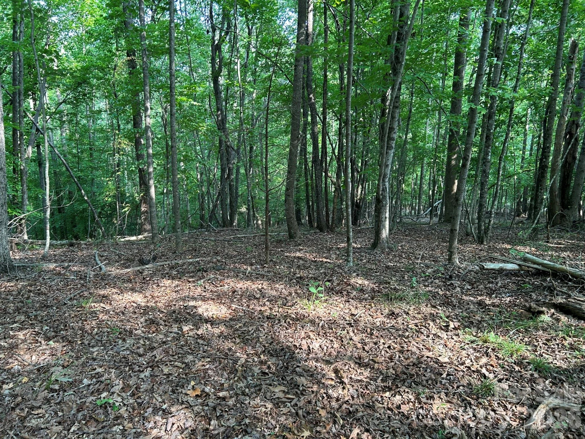 00 Wilderness Ridge - Photo 11