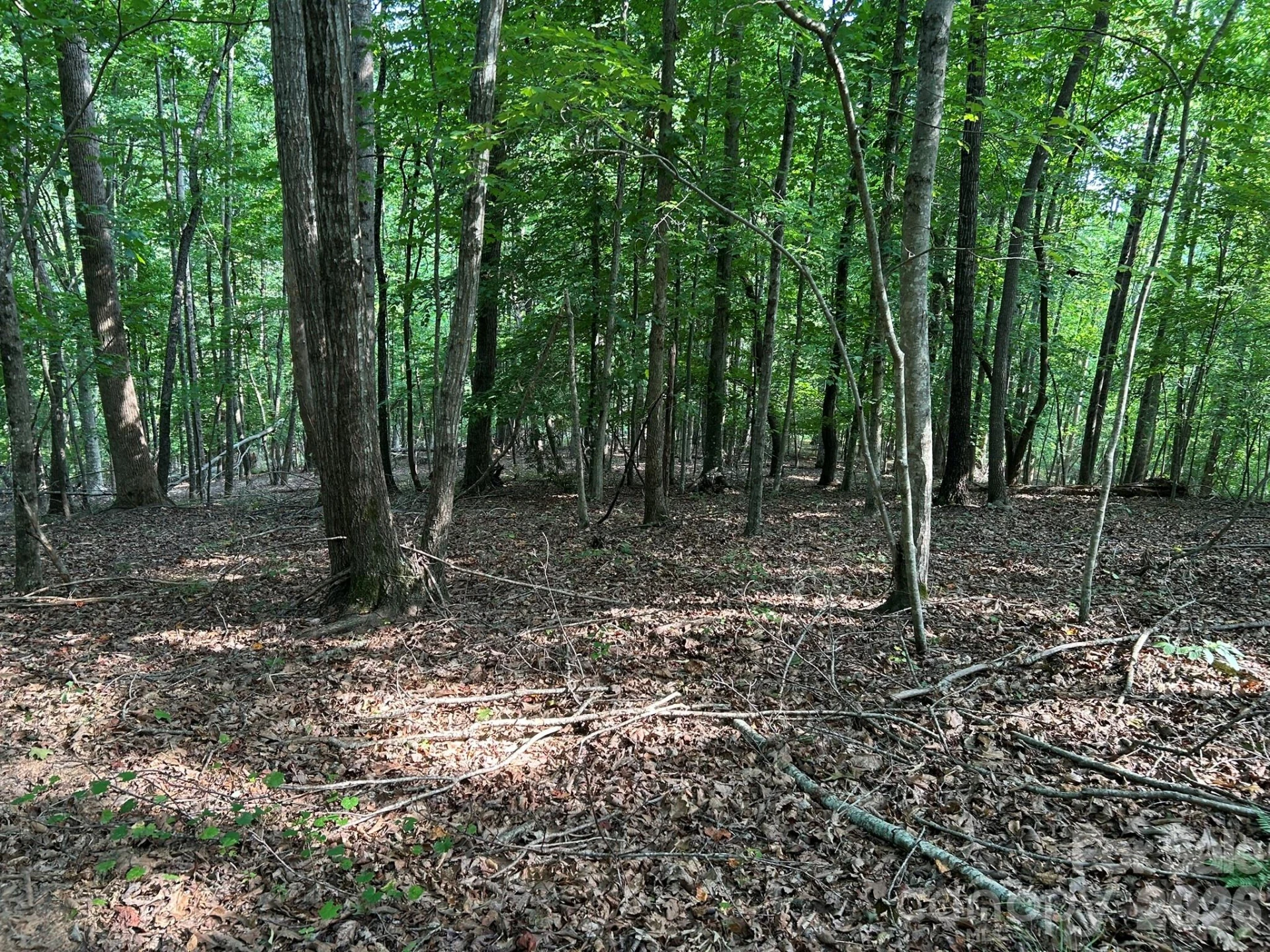 00 Wilderness Ridge - Photo 12