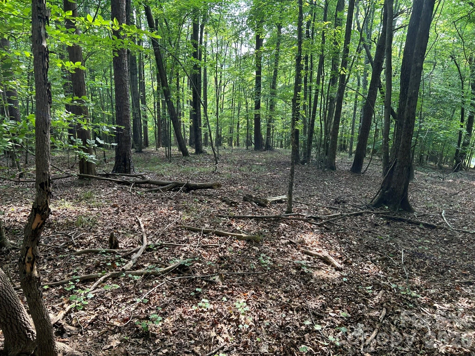 00 Wilderness Ridge - Photo 13