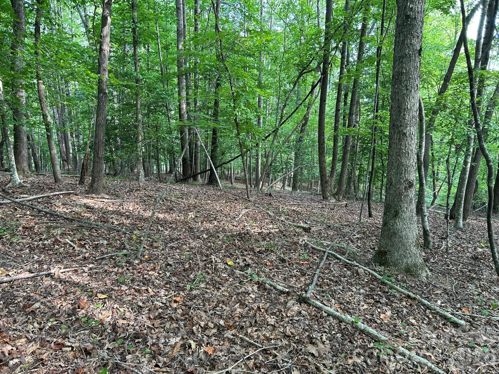 00 Wilderness Ridge - Photo 14
