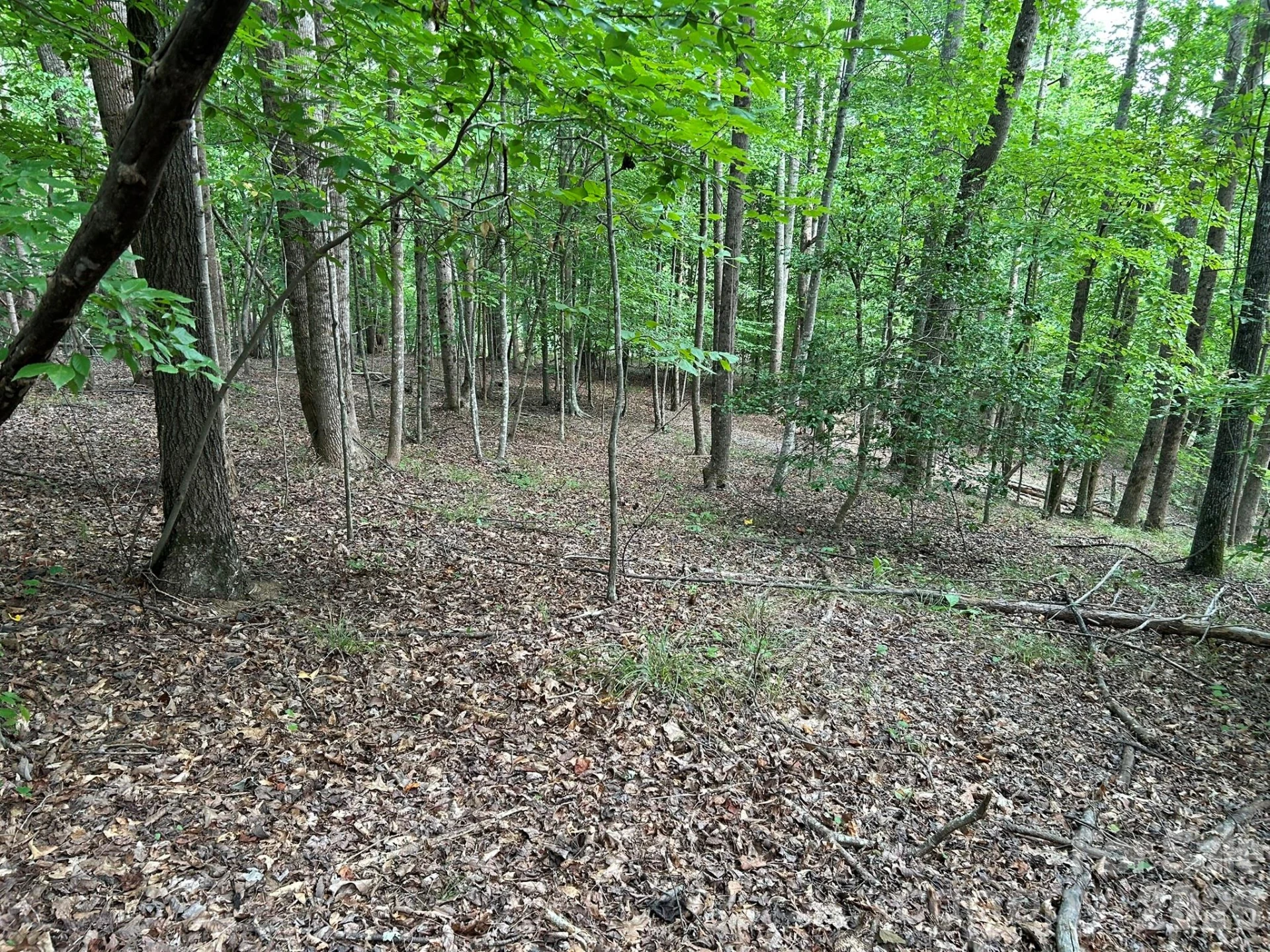 00 Wilderness Ridge - Photo 15