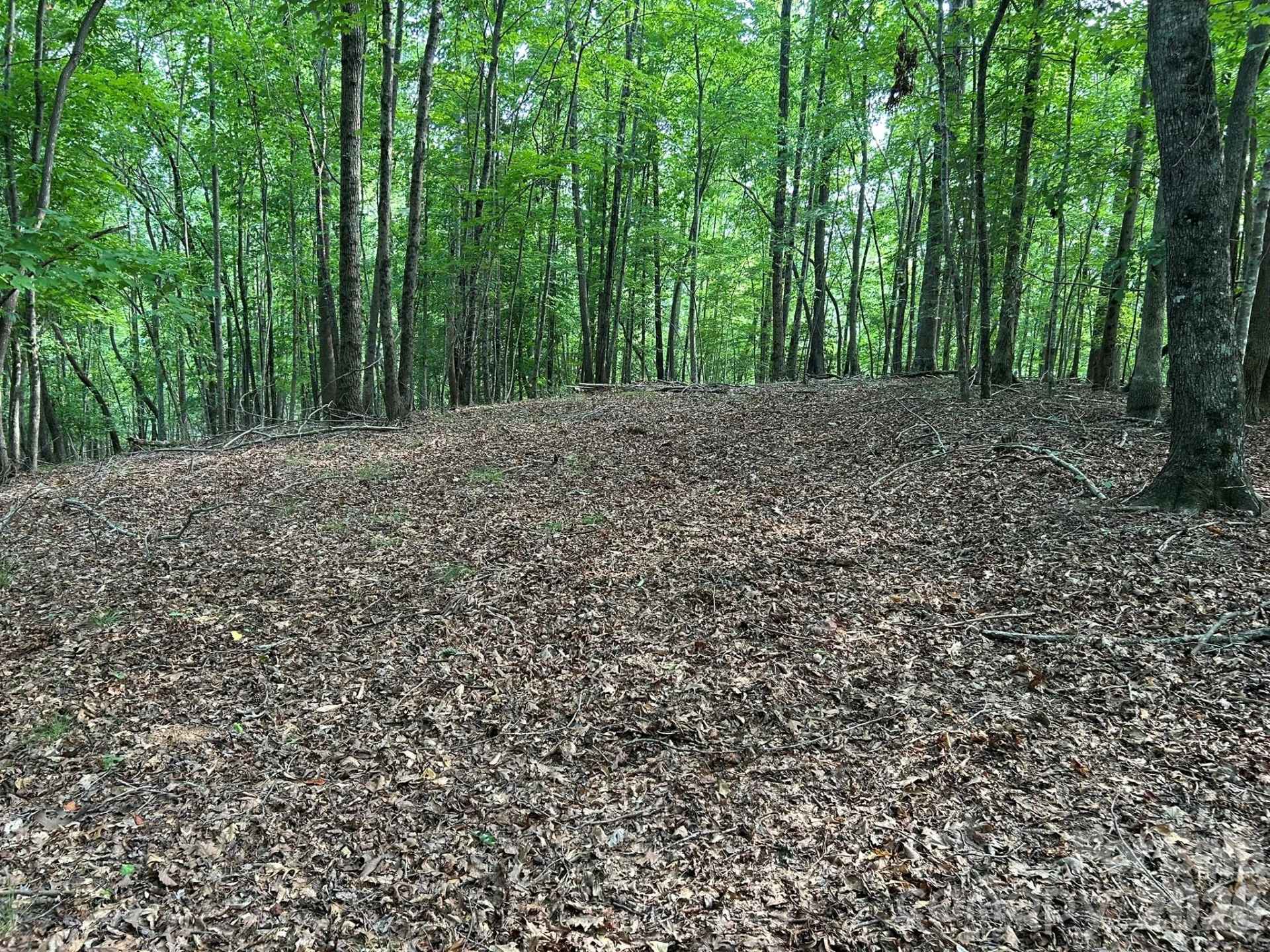 00 Wilderness Ridge - Photo 16