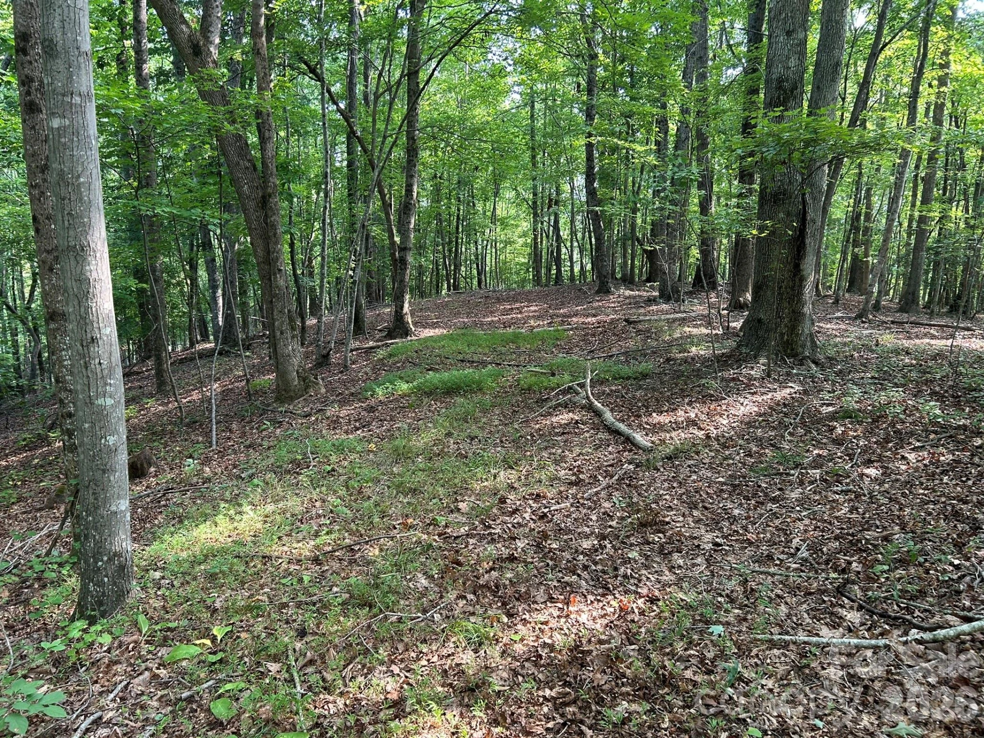 00 Wilderness Ridge - Photo 17