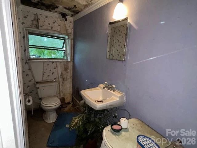 129 Pine Street - Photo 12