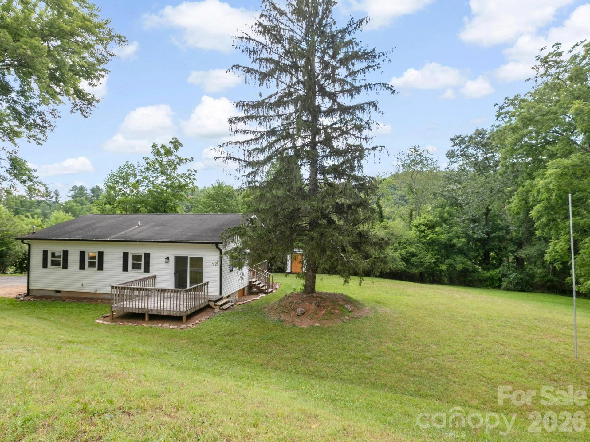 47 Carolina Mountain Drive - Photo 3