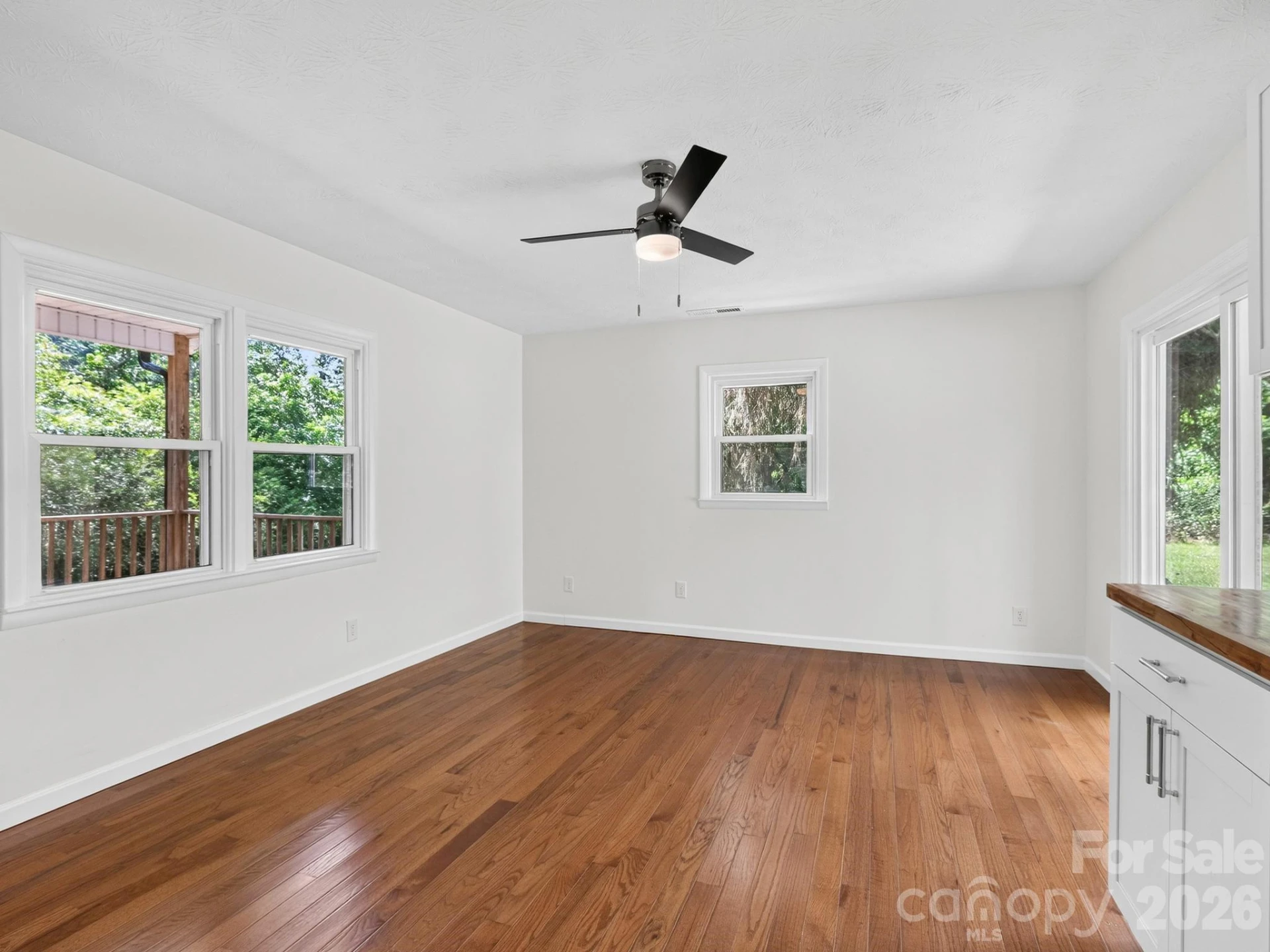 47 Carolina Mountain Drive - Photo 6
