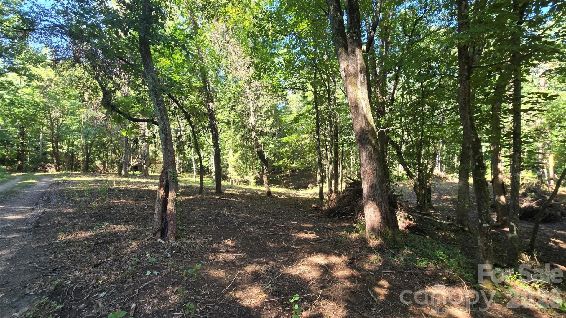 31 Burtiller Lane - Photo 12