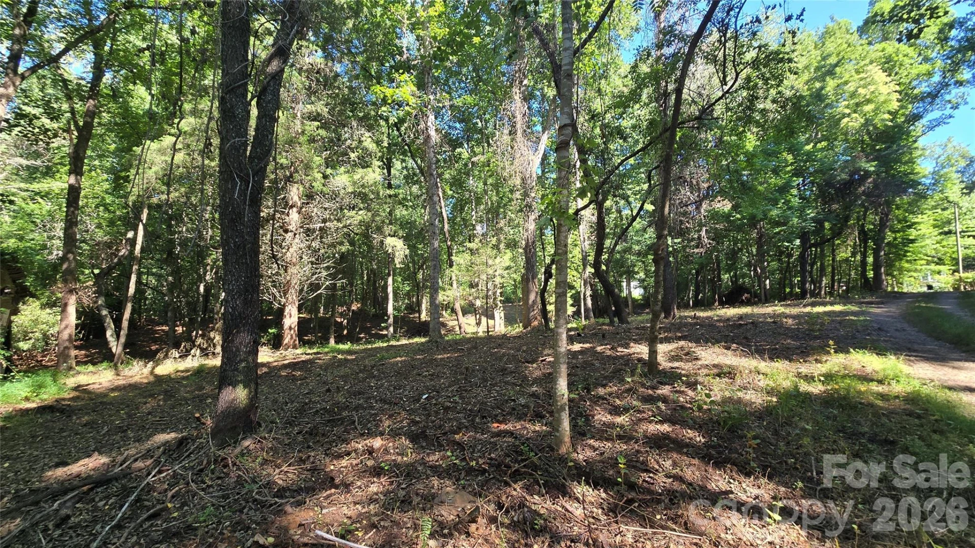 31 Burtiller Lane - Photo 13