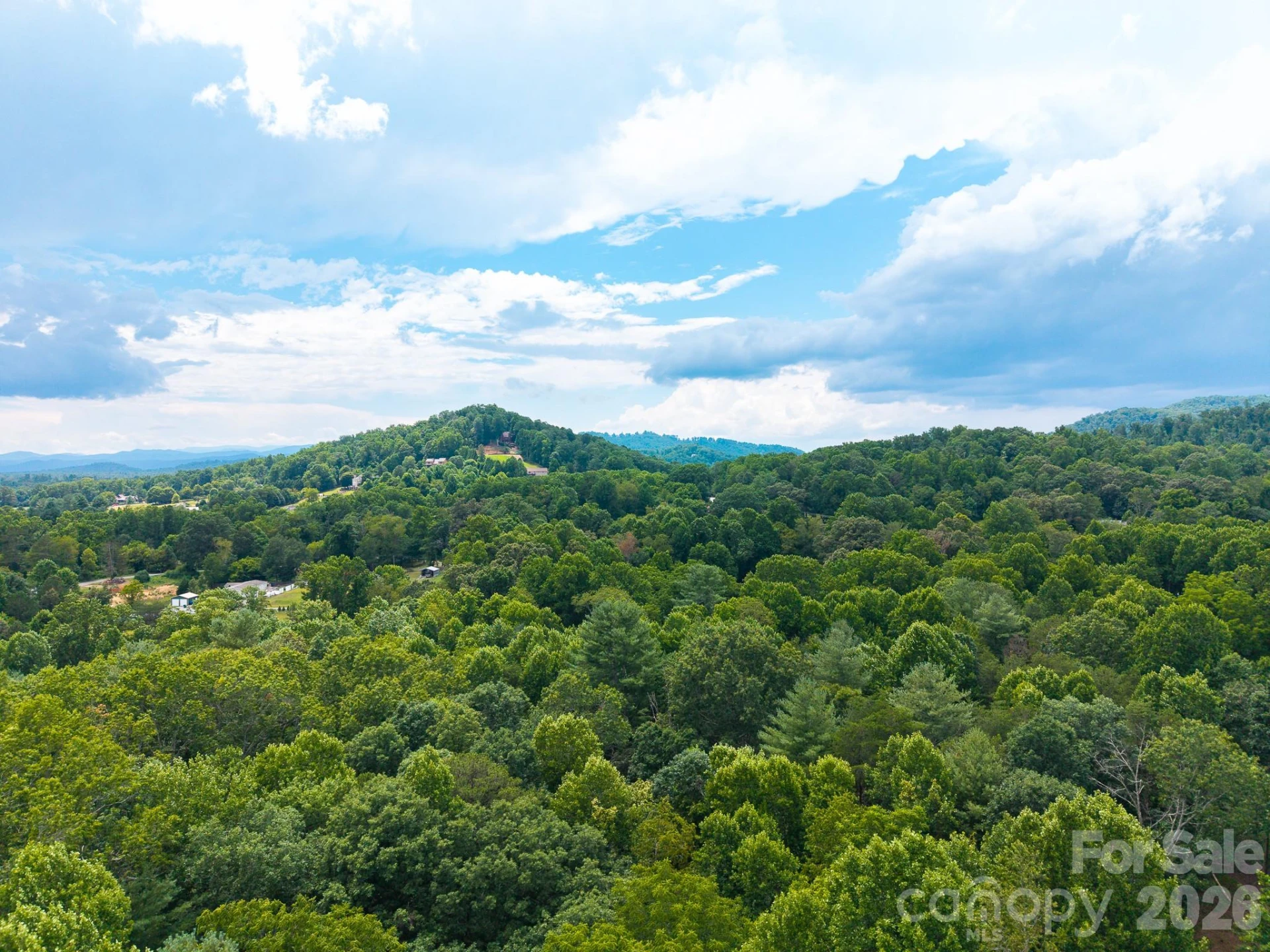 31 Burtiller Lane - Photo 8