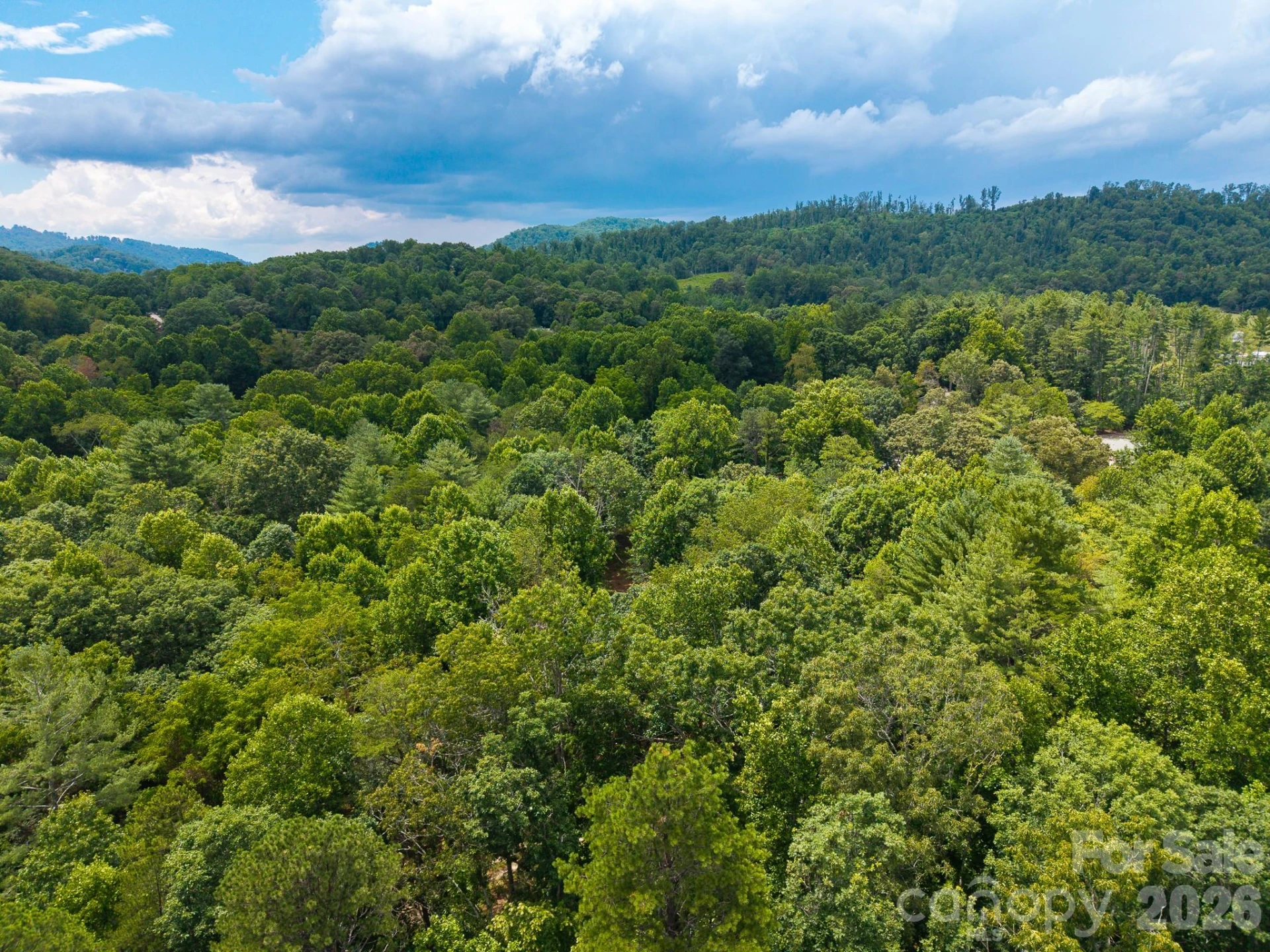 31 Burtiller Lane - Photo 9