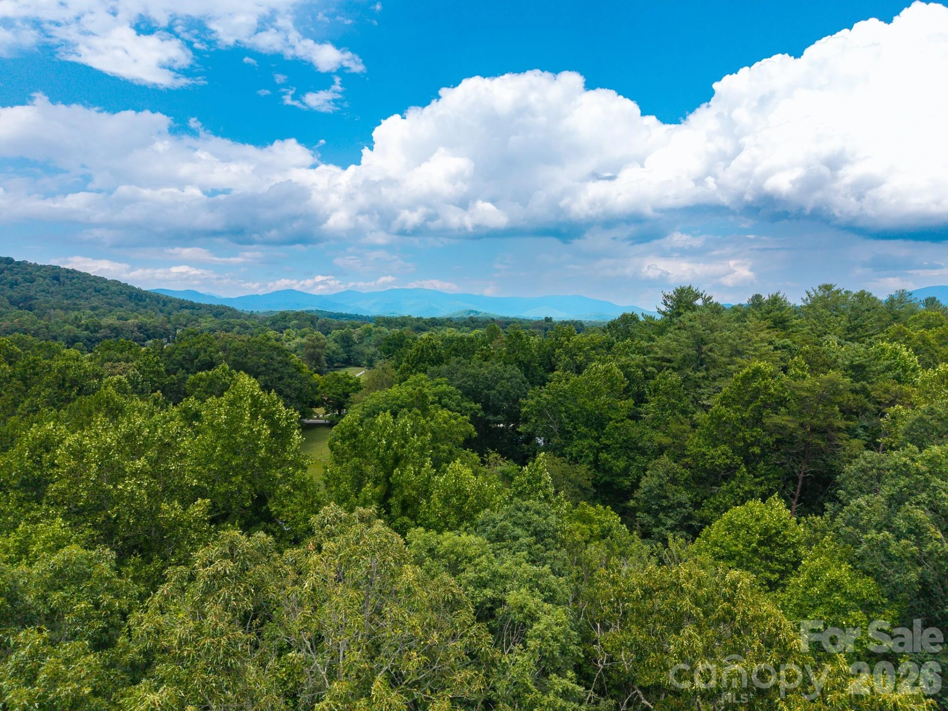 31 Burtiller Lane - Photo 10