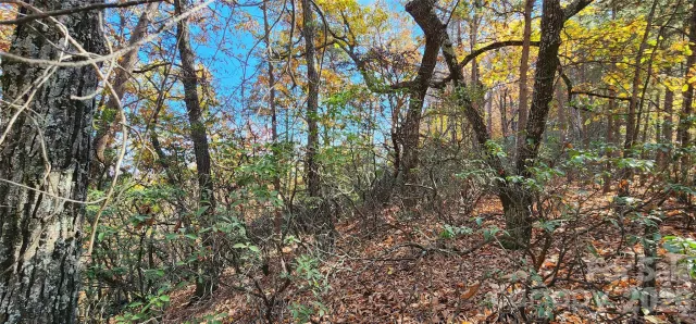 Lot 22 A Pinnacle Parkway, Union Mills, NC, 28167