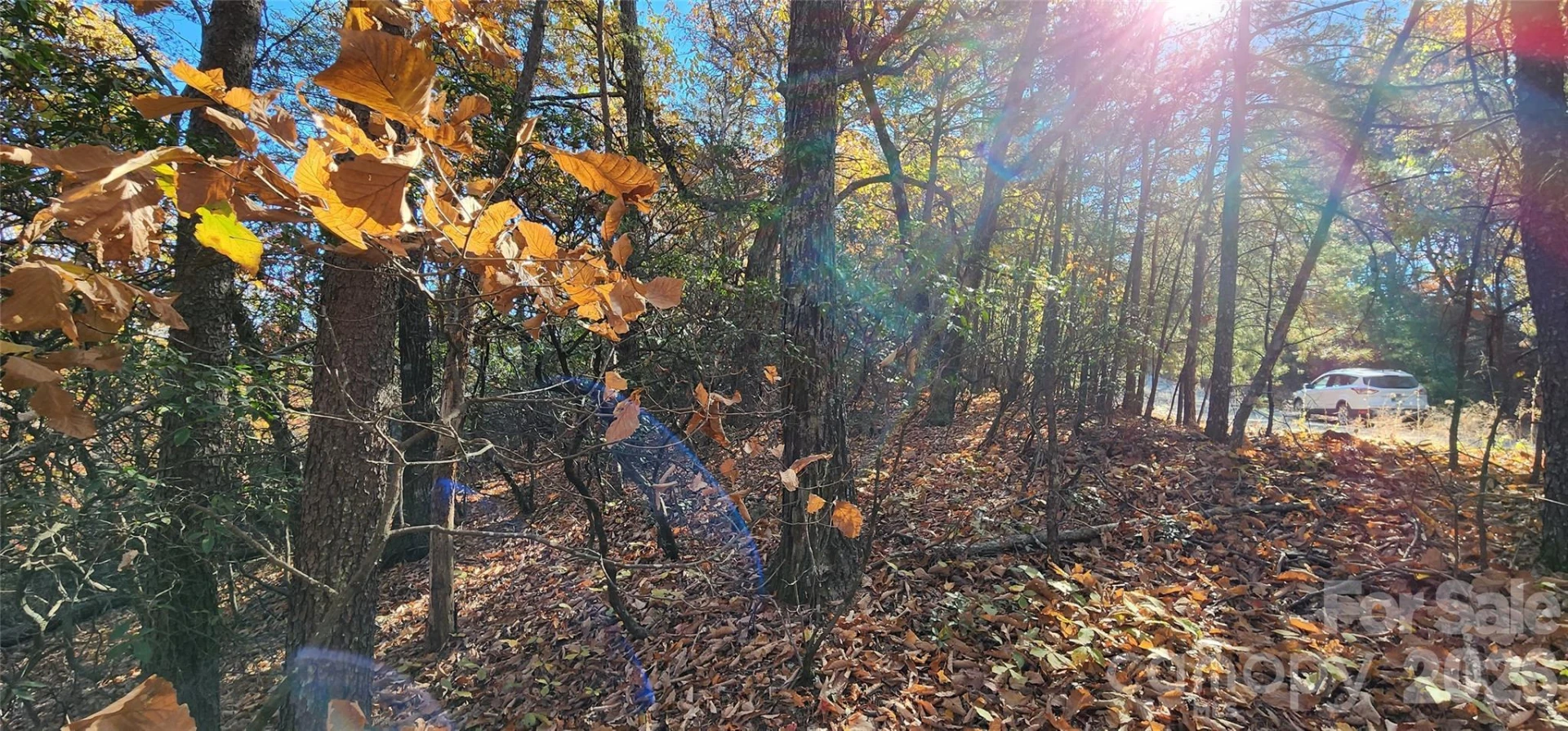 Lot 22 A Pinnacle Parkway #22 A - Photo 2