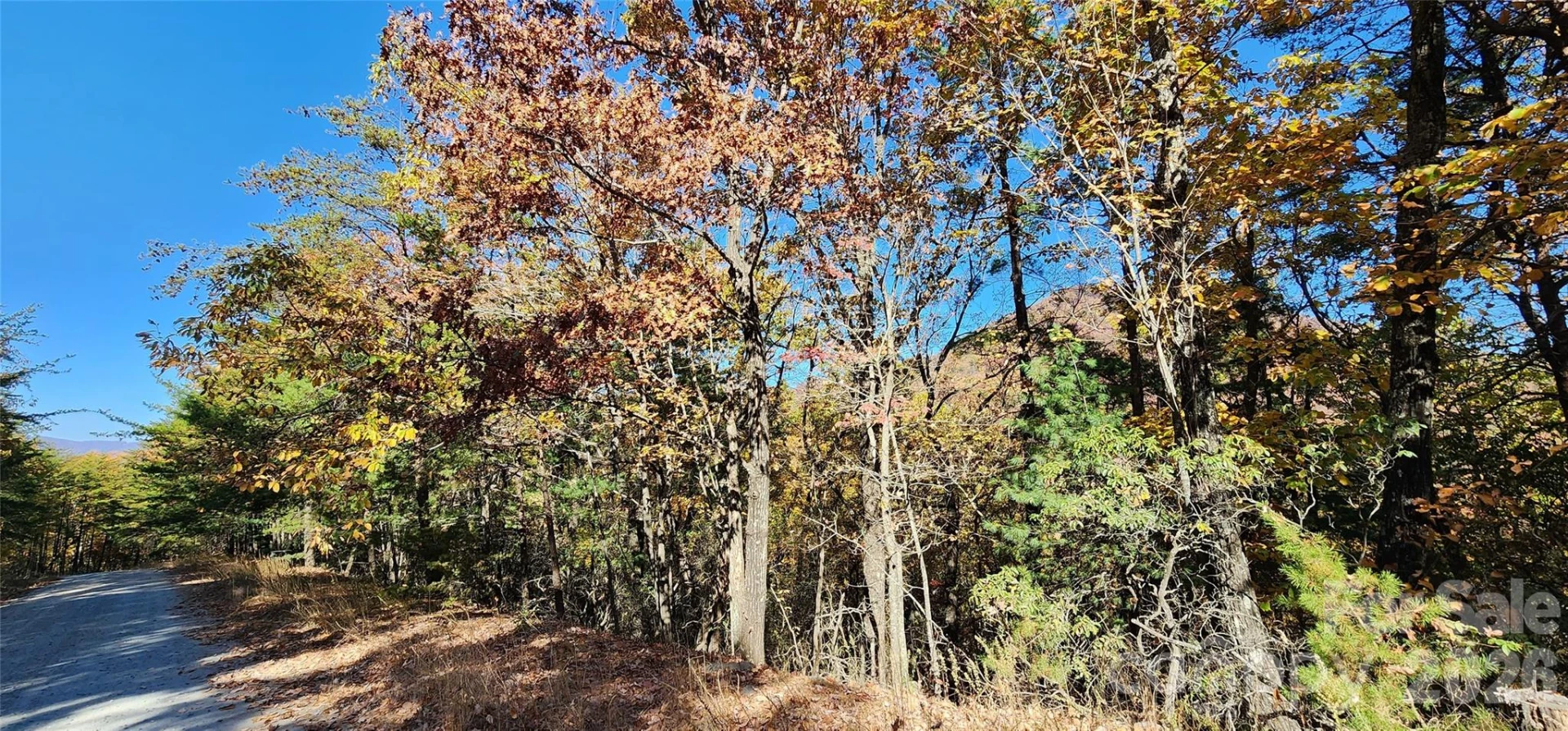 Lot 22 A Pinnacle Parkway #22 A - Photo 3