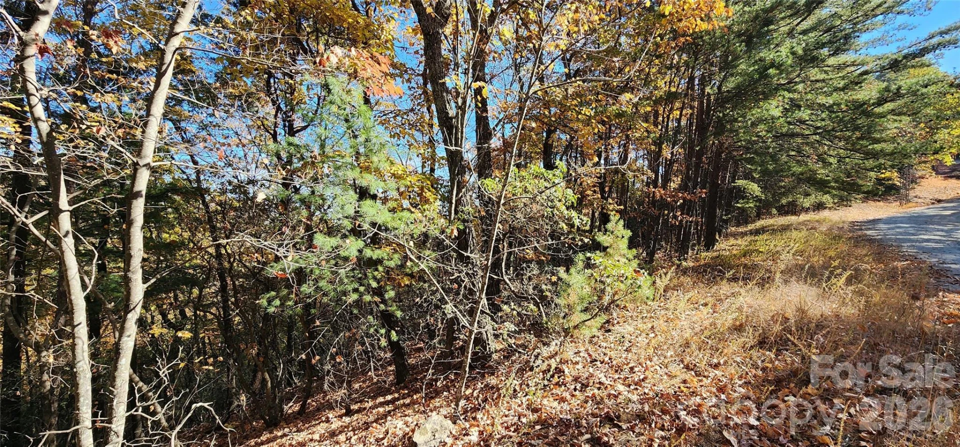 Lot 22 A Pinnacle Parkway #22 A - Photo 4
