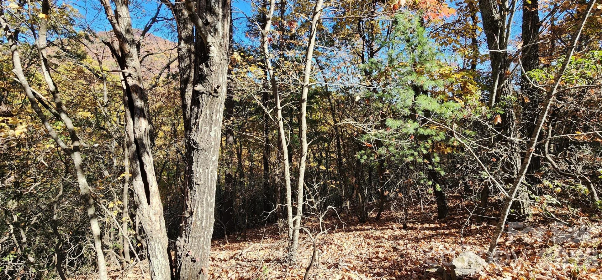 Lot 22 A Pinnacle Parkway #22 A - Photo 5