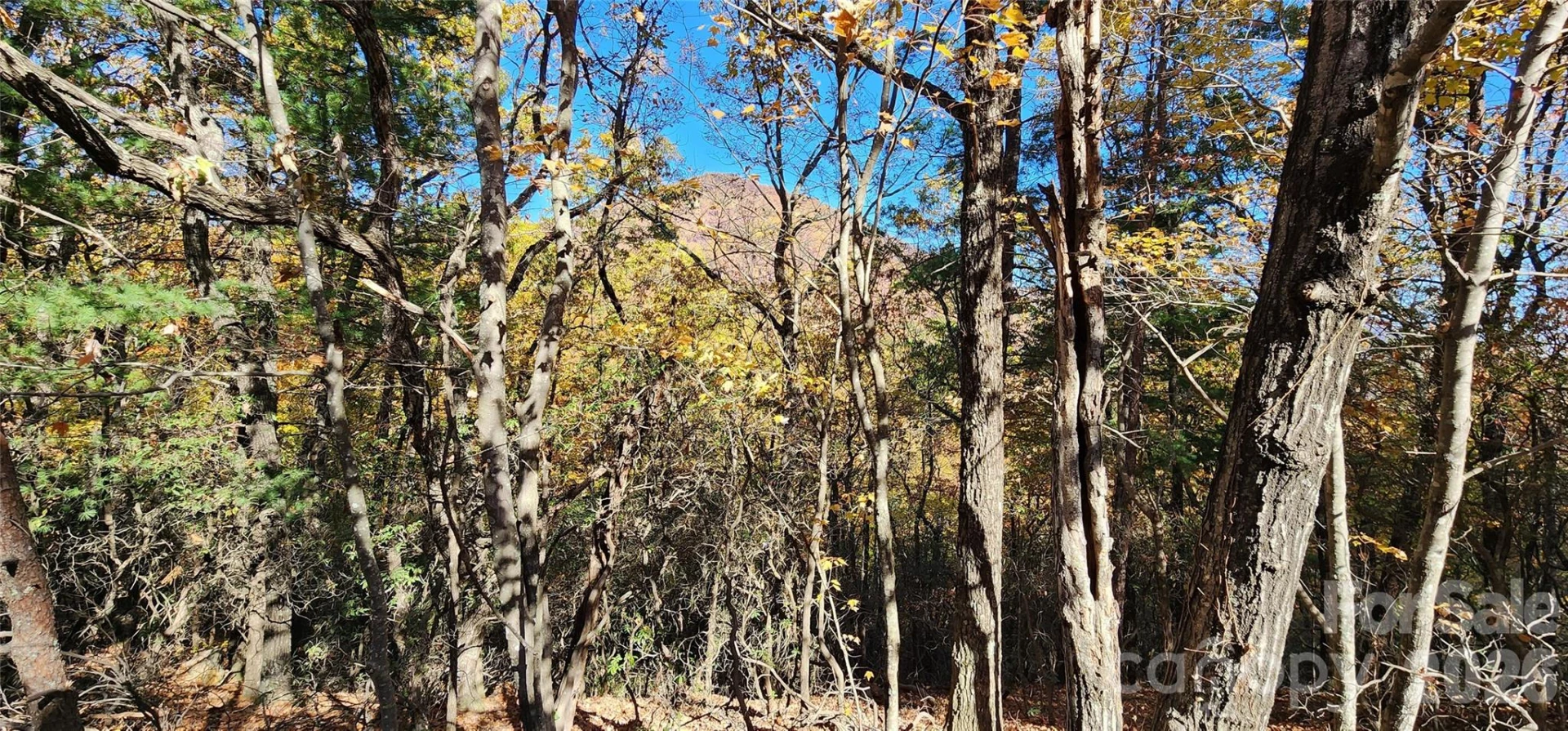 Lot 22 A Pinnacle Parkway #22 A - Photo 6