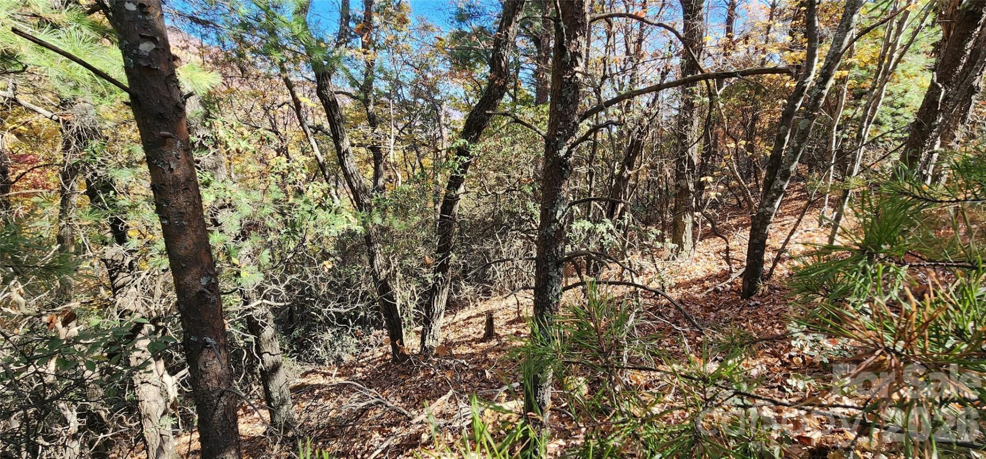 Lot 22 A Pinnacle Parkway #22 A - Photo 7