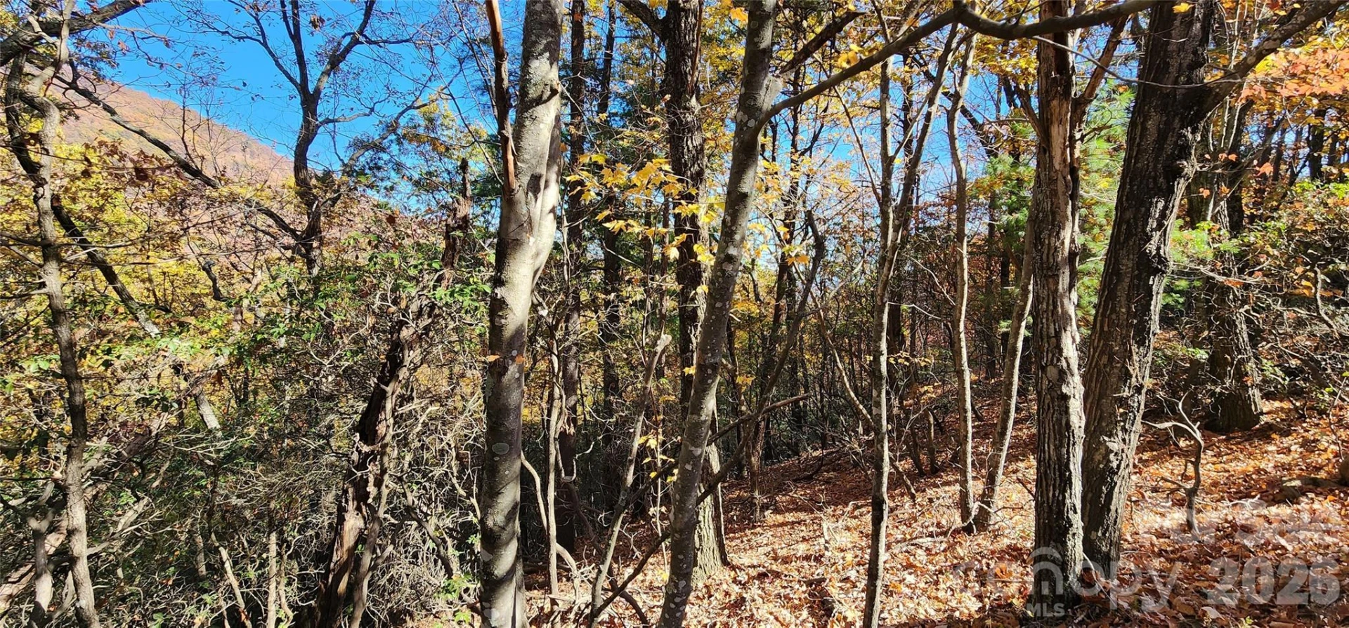 Lot 22 A Pinnacle Parkway #22 A - Photo 9