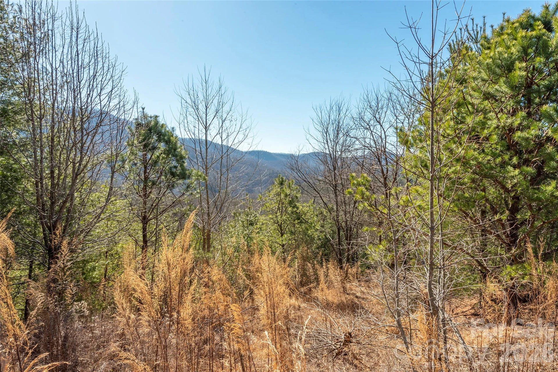 99999 Woodhen Way #138 & 139 - Photo 2