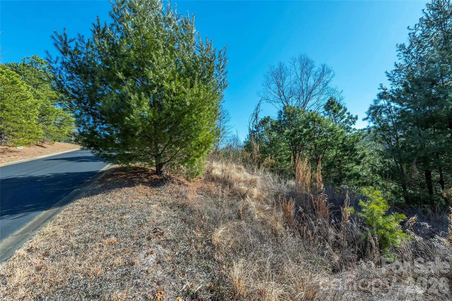 99999 Woodhen Way #138 & 139 - Photo 13
