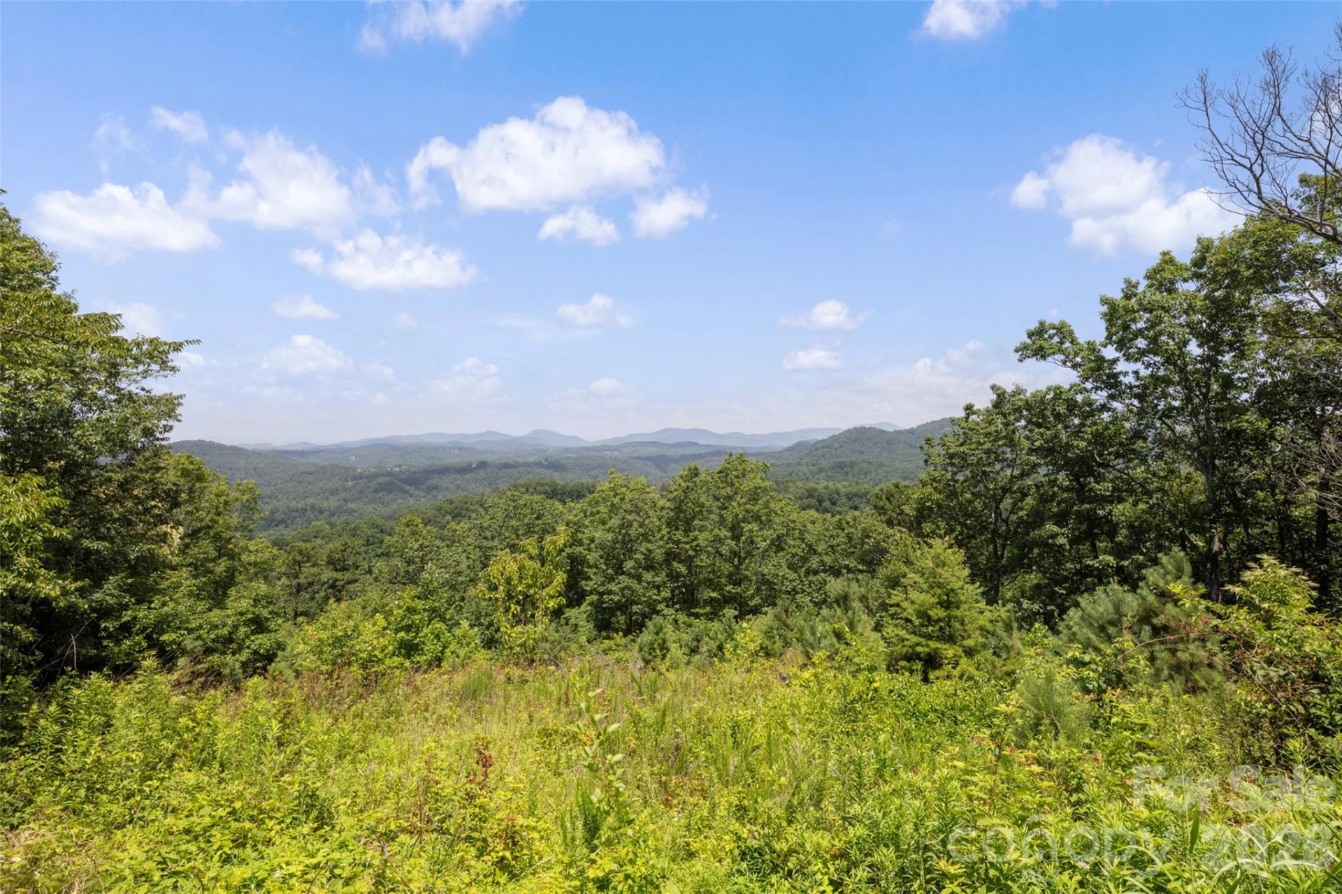 354 Boulder View Drive - Photo 36