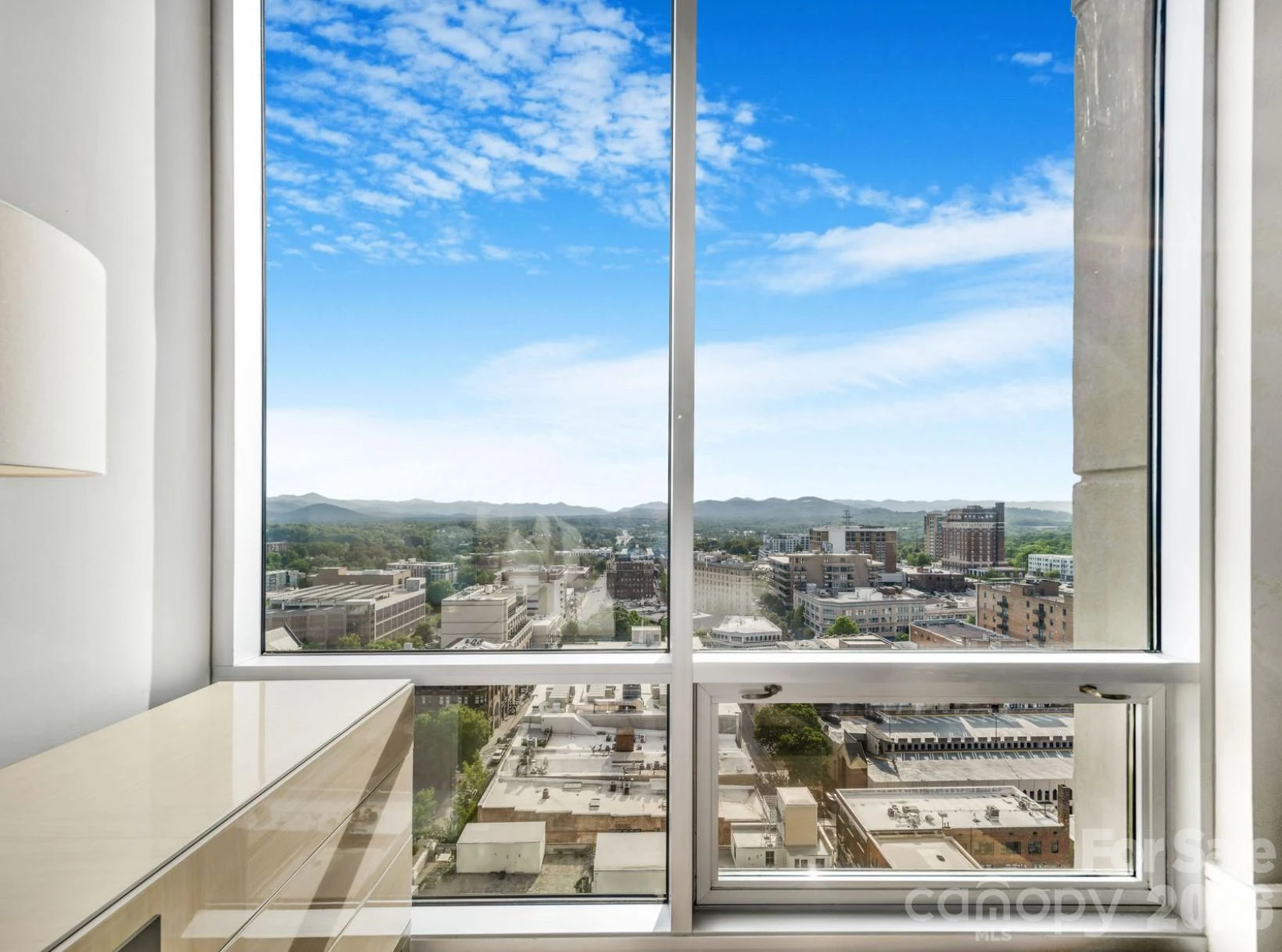 7 Patton Avenue #1605 - Photo 21