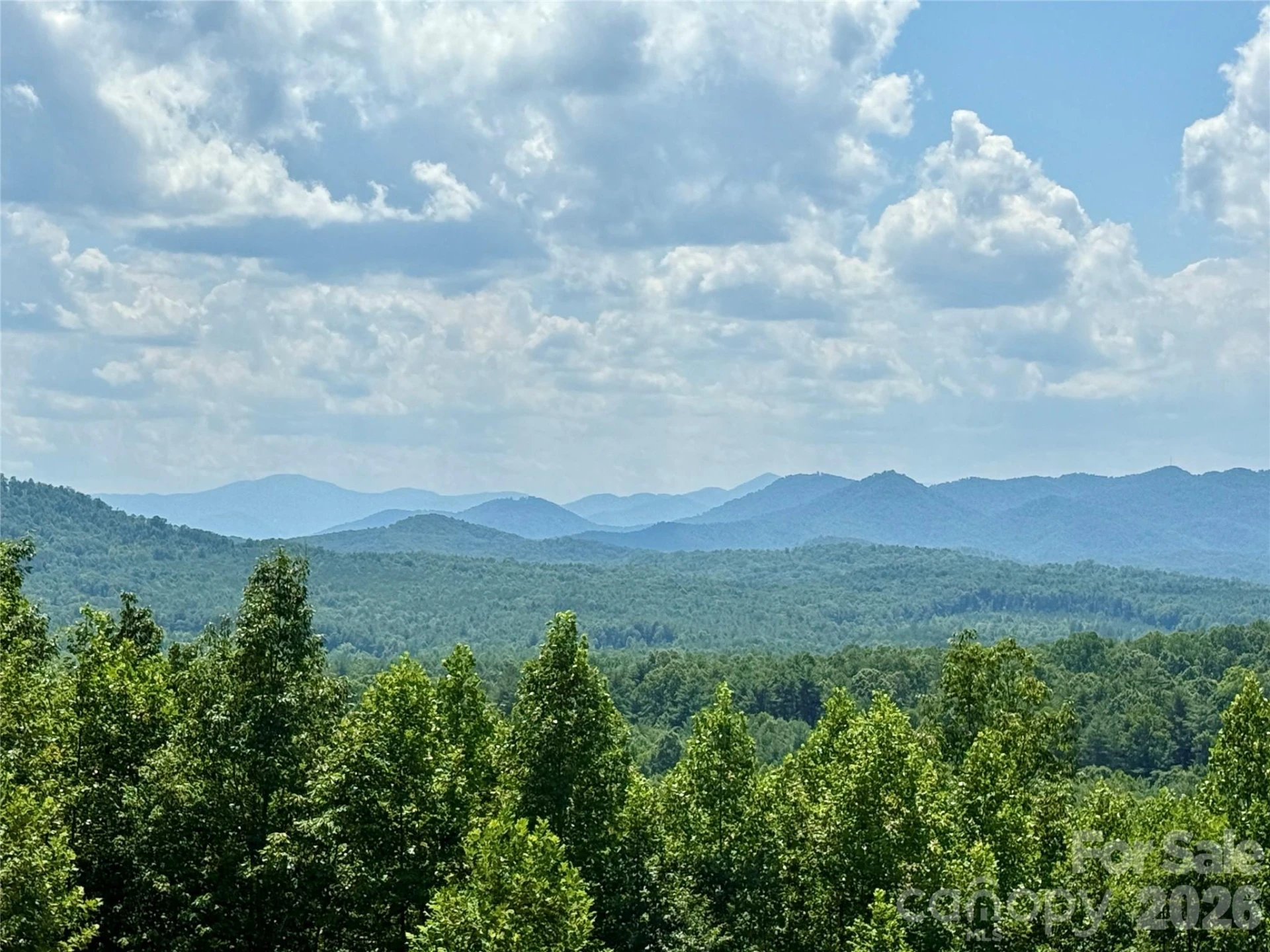 V/L Summit Trail #82 - Photo 2