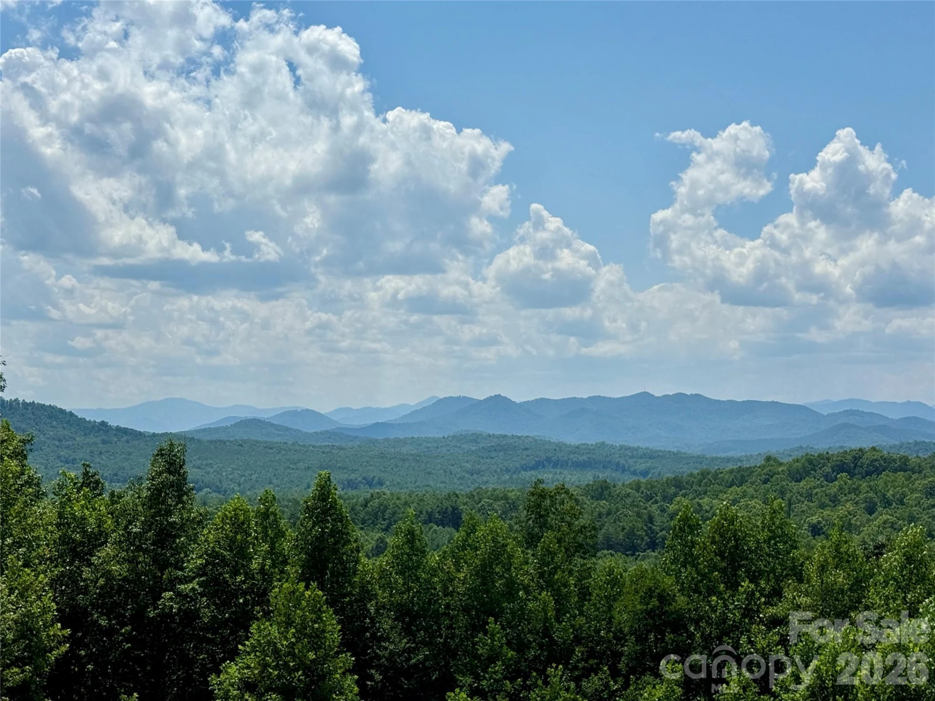 V/L Summit Trail #82 - Photo 4
