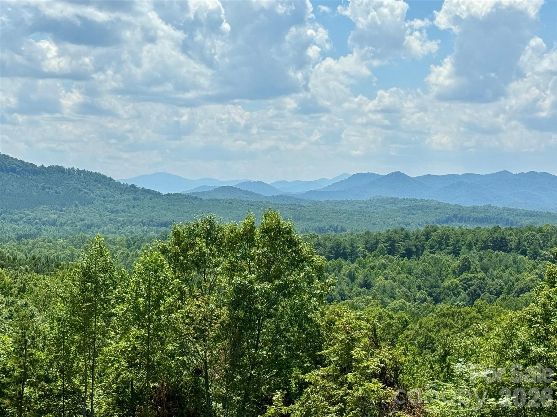 V/L Summit Trail #82 - Photo 27