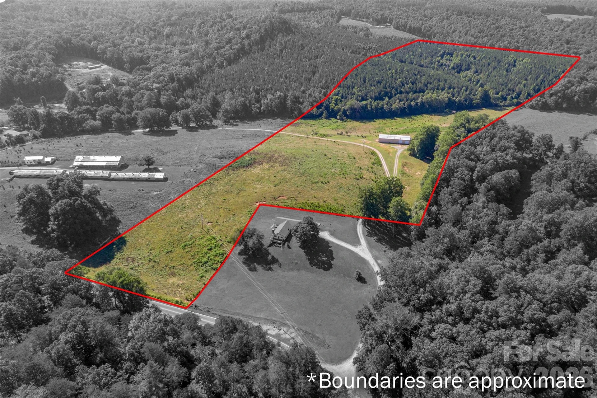 83 Acres +/- Pleasant Grove Road - Photo 3