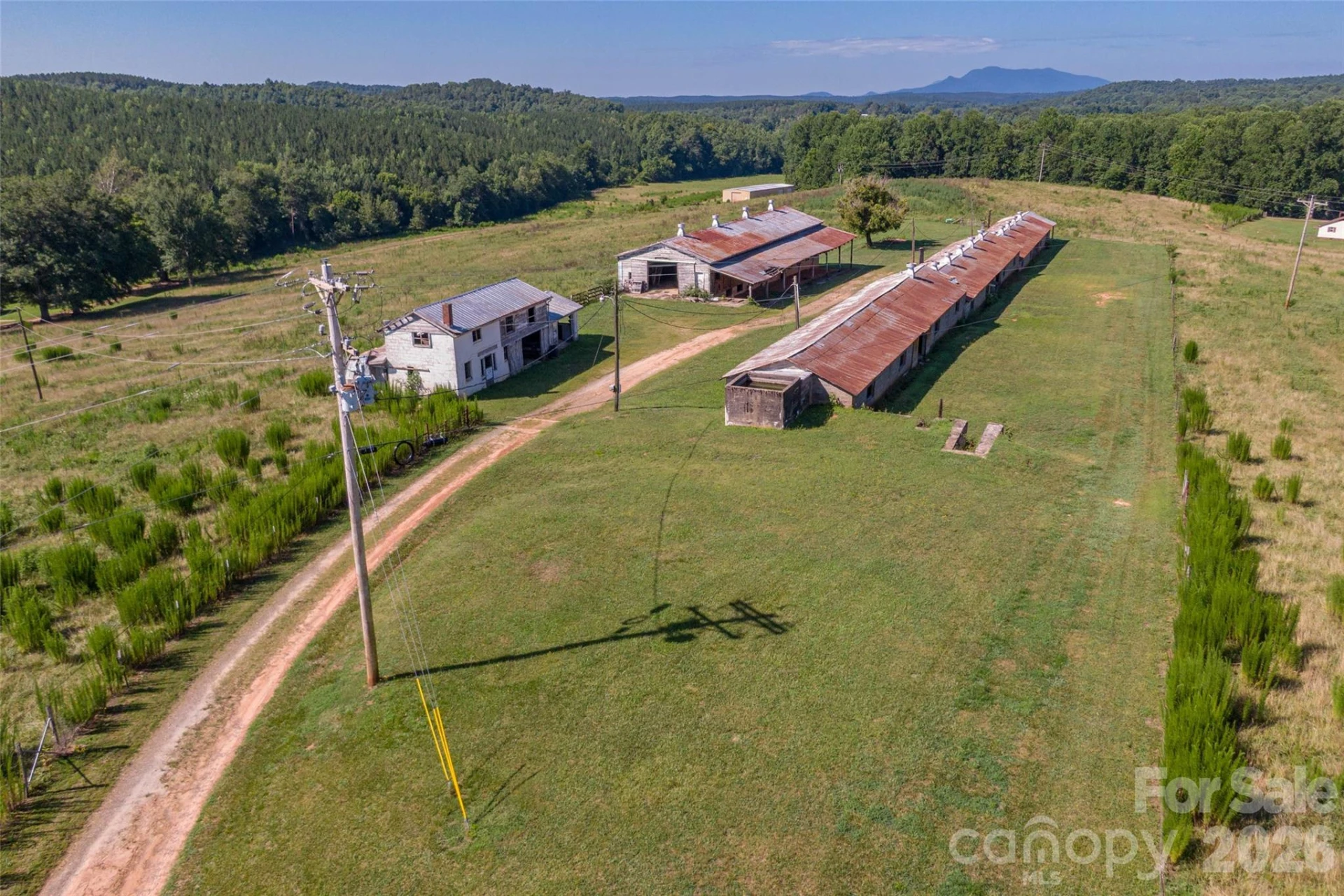 83 Acres +/- Pleasant Grove Road - Photo 24